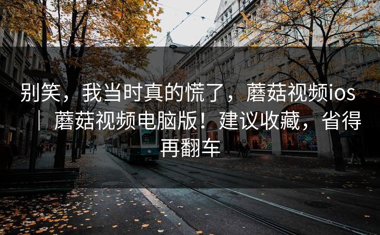别笑,我当时真的慌了,蘑菇视频ios | 蘑菇视频电脑版!建议收藏,省得再翻车 第1张 别笑,我当时真的慌了,蘑菇视频ios | 蘑菇视频电脑版!建议收藏,省得再翻车 第1张