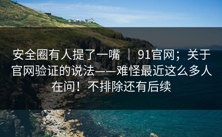 安全圈有人提了一嘴 ｜ 91官网；关于官网验证的说法——难怪最近这么多人在问！不排除还有后续  第1张